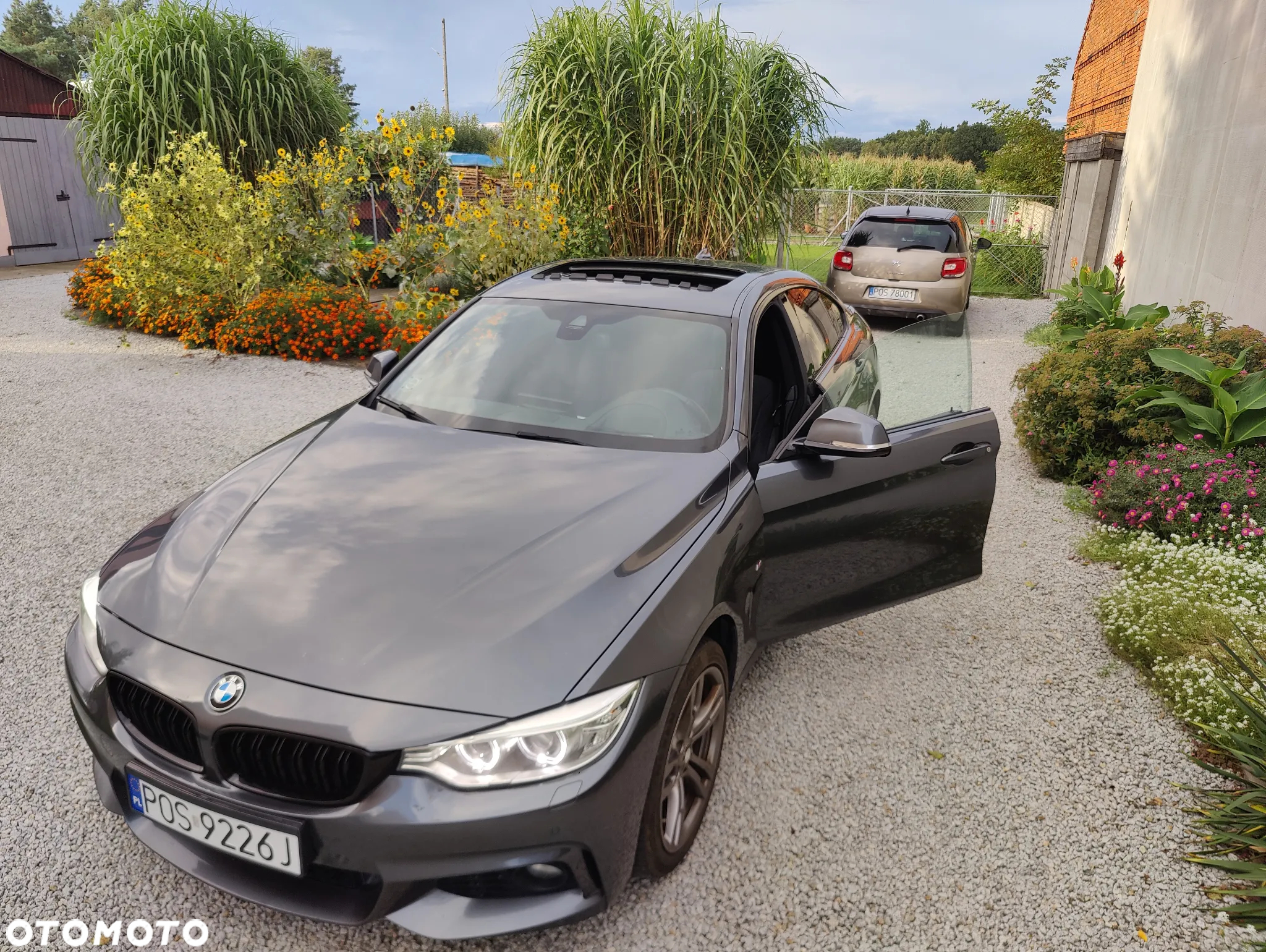 BMW Seria 4 435d xDrive M Sport - 2