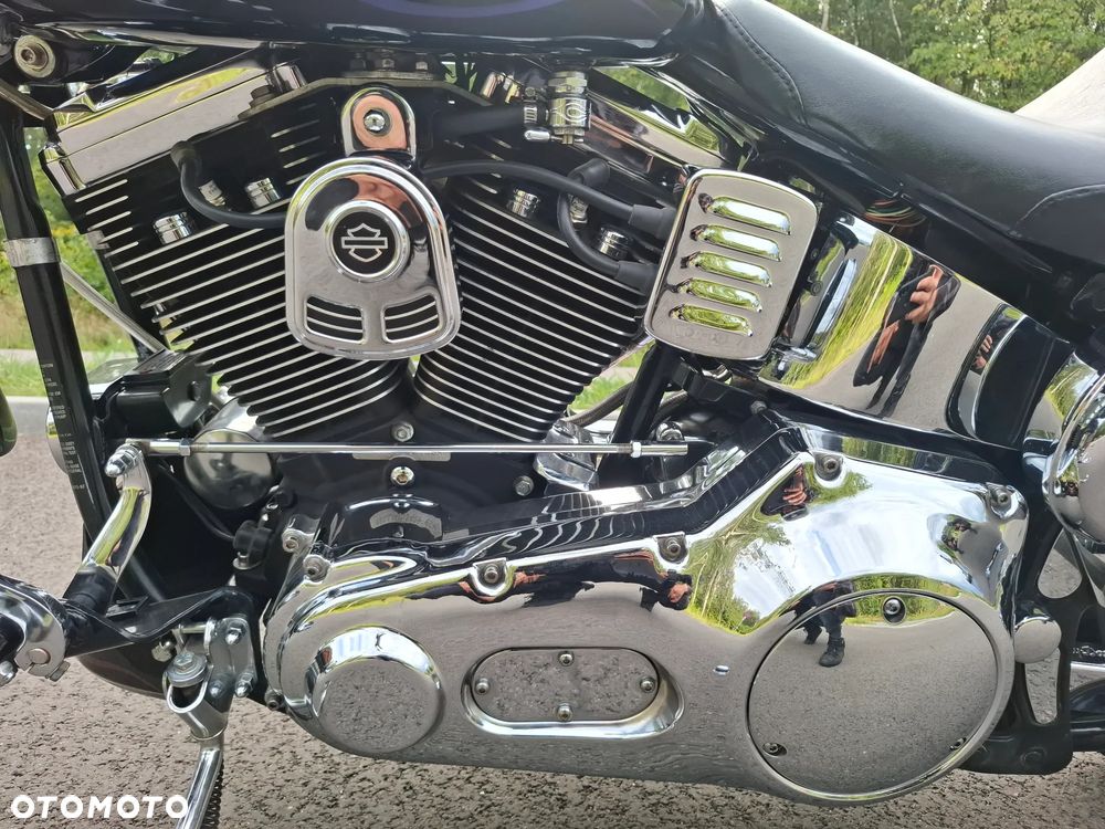 Harley-Davidson Softail Springer Classic - 15