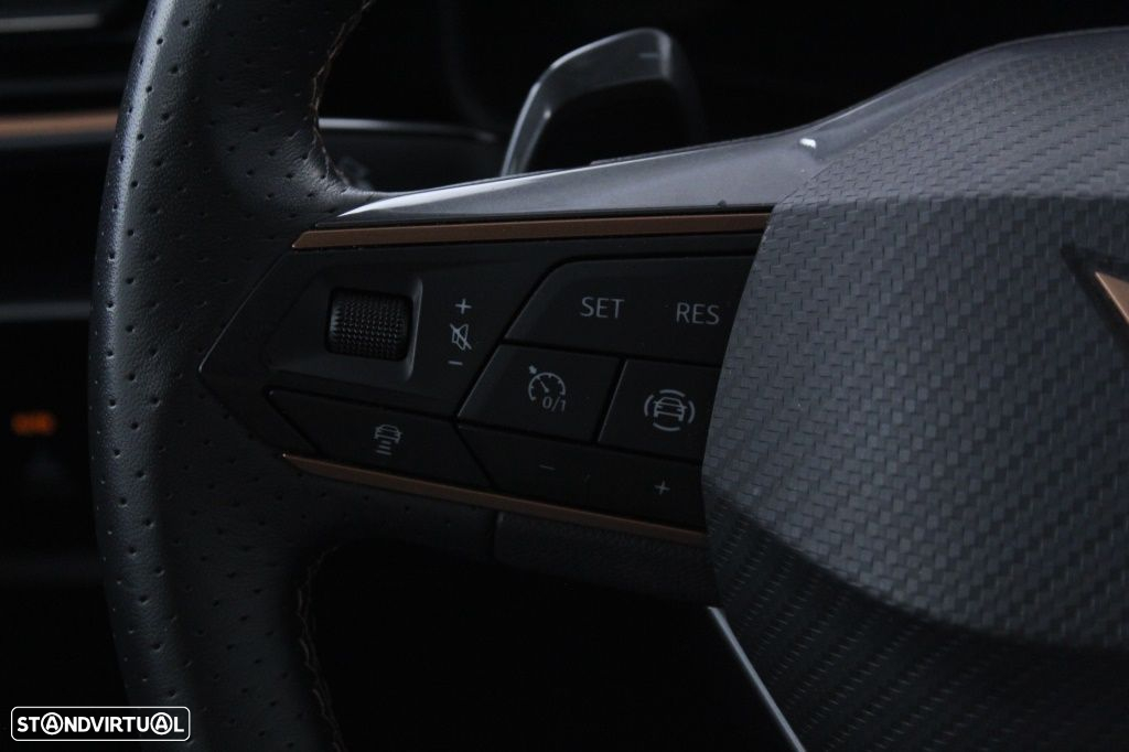 Cupra Formentor 1.5 TSI DSG - 22