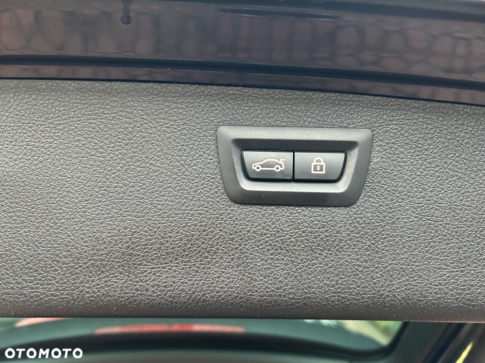 BMW Seria 3 318d Blue Performance Luxury Line - 16