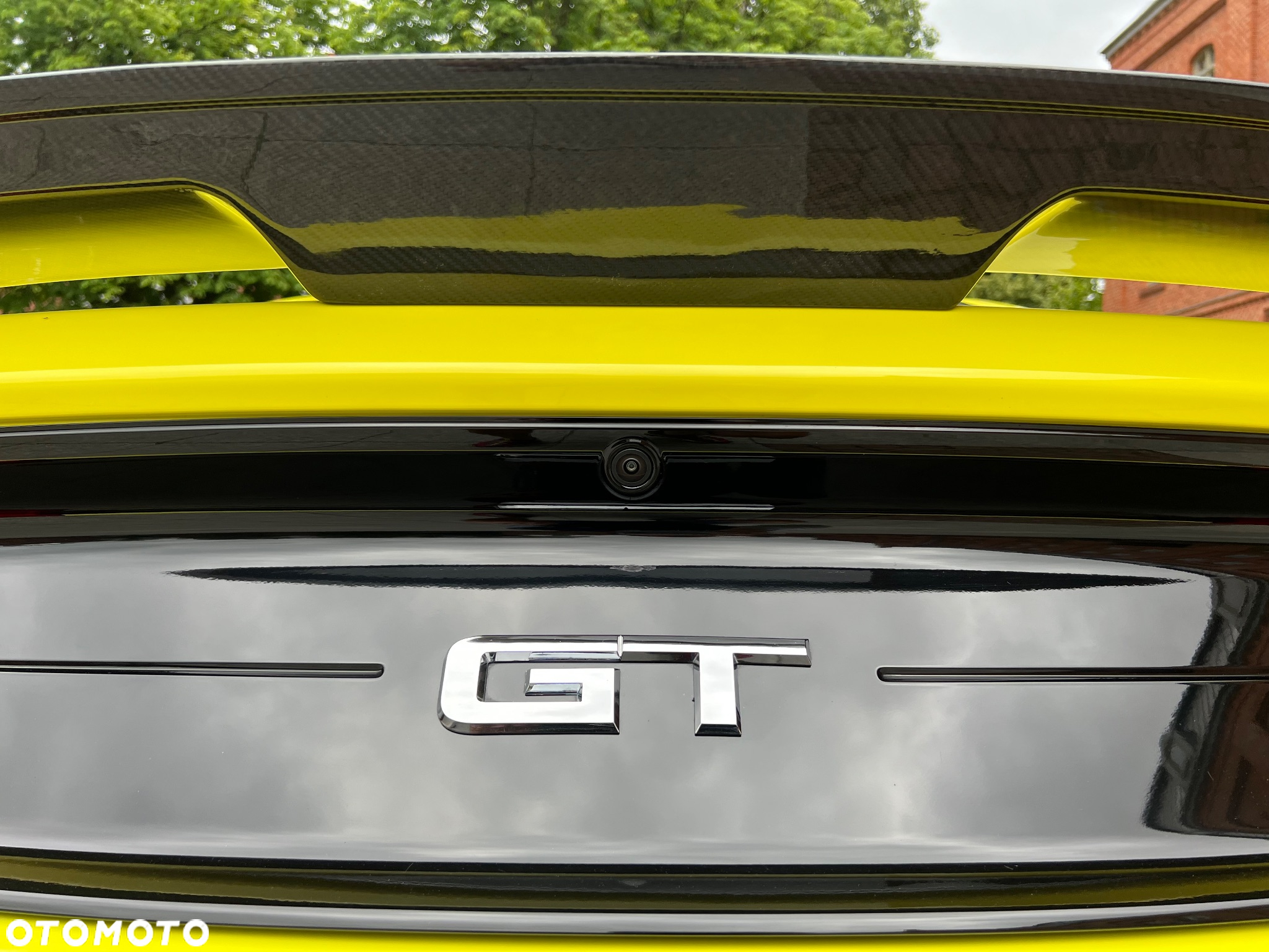 Ford Mustang 5.0 V8 Mach 1 - 21