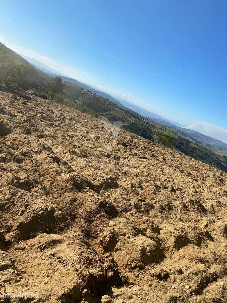 Terreno Rustico Povoa De Penela - Grande imagem: 5/12