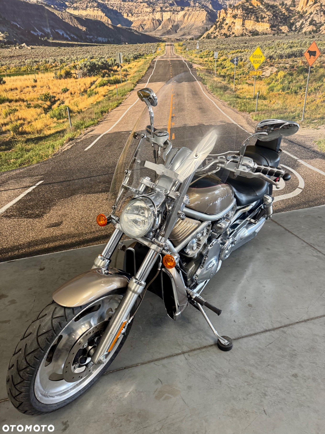 Harley-Davidson V-Rod Street Rod - 8