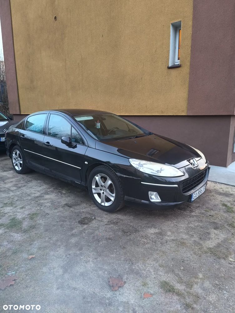 Peugeot 407 - 10