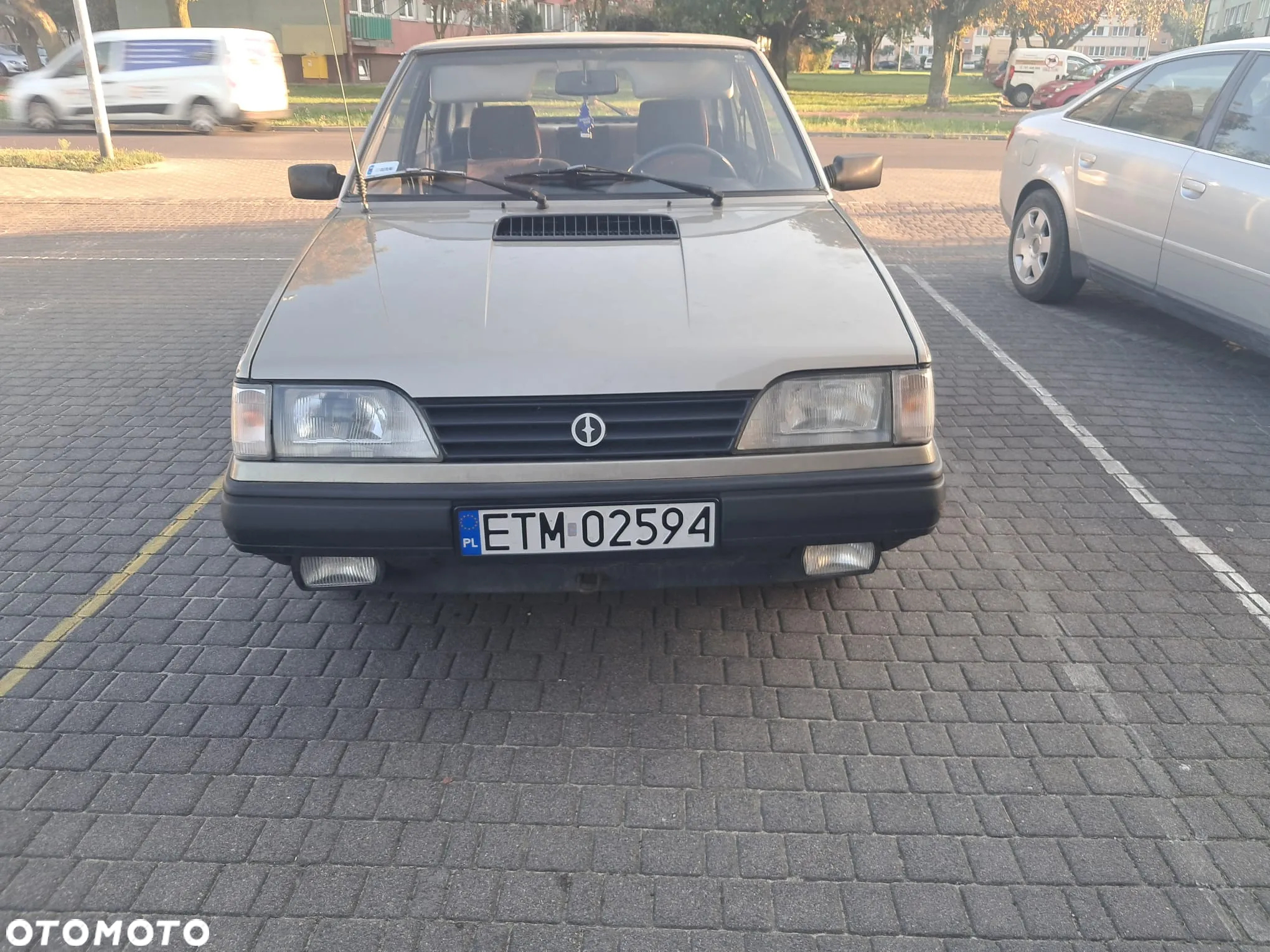 Polonez Caro - 12
