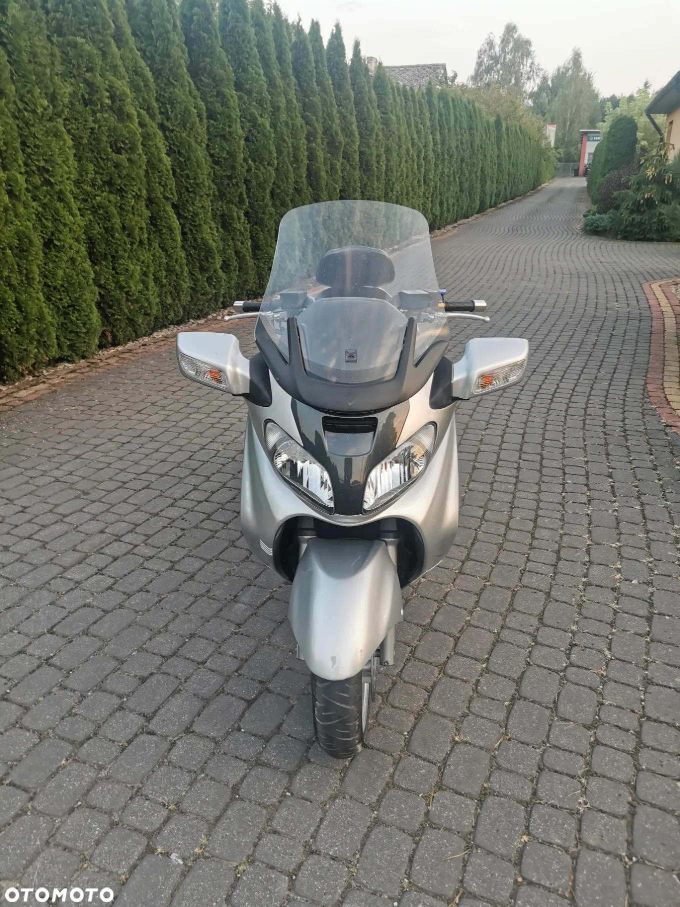 Suzuki Burgman - 7