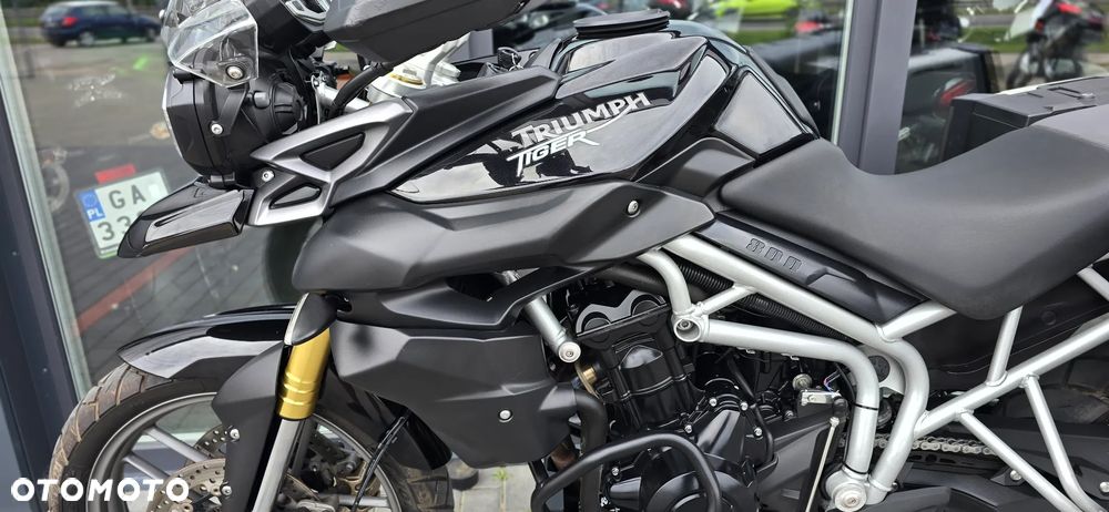 Triumph Tiger - 31