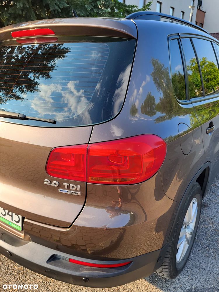 Volkswagen Tiguan - 14