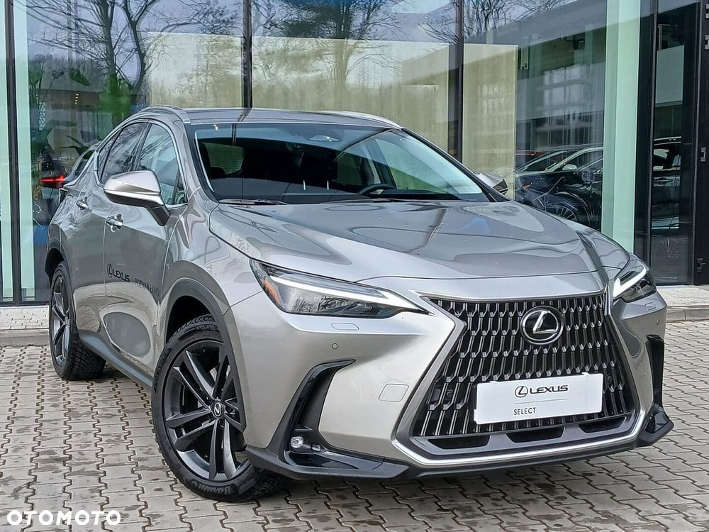 Lexus NX - 10