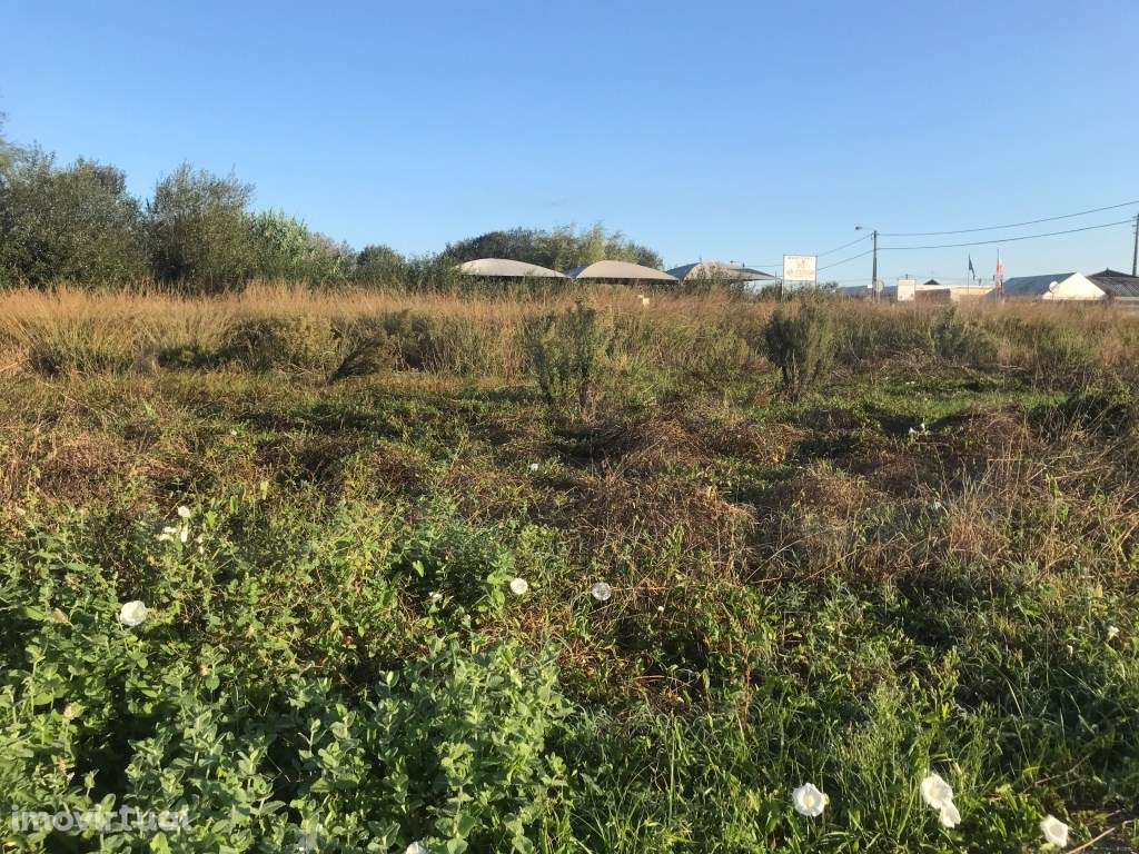 Terreno para construção moradia isolada - Estarreja - Grande imagem: 4/18
