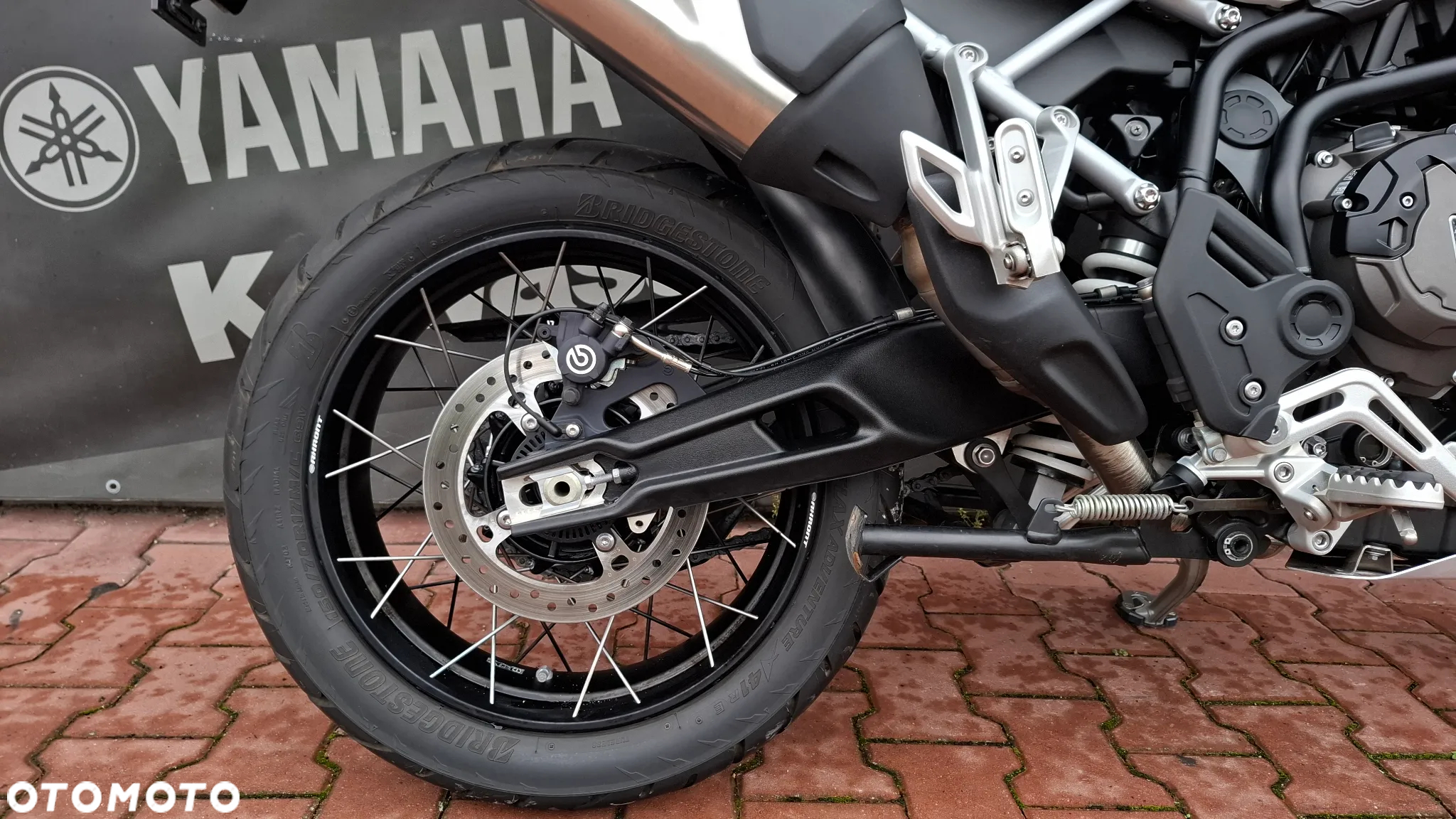 Triumph Tiger - 9