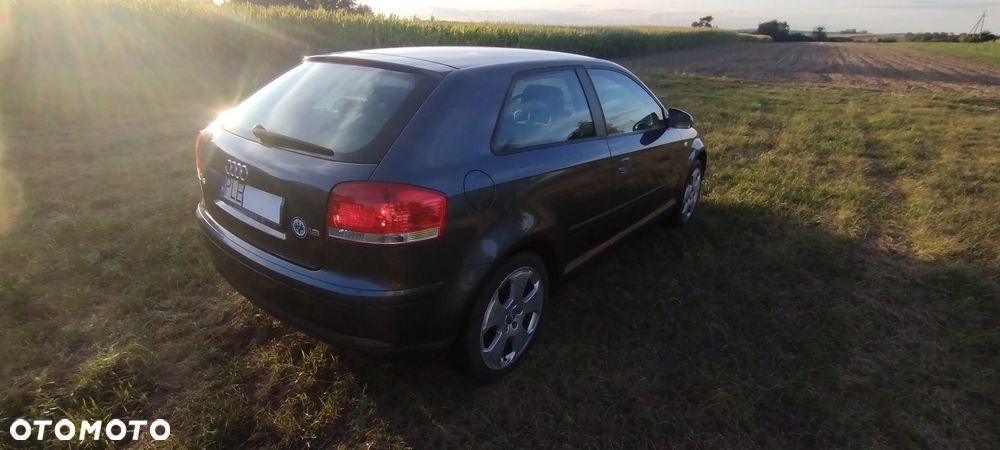 Audi A3 3-drzwiowe 1.6 Attraction - 7