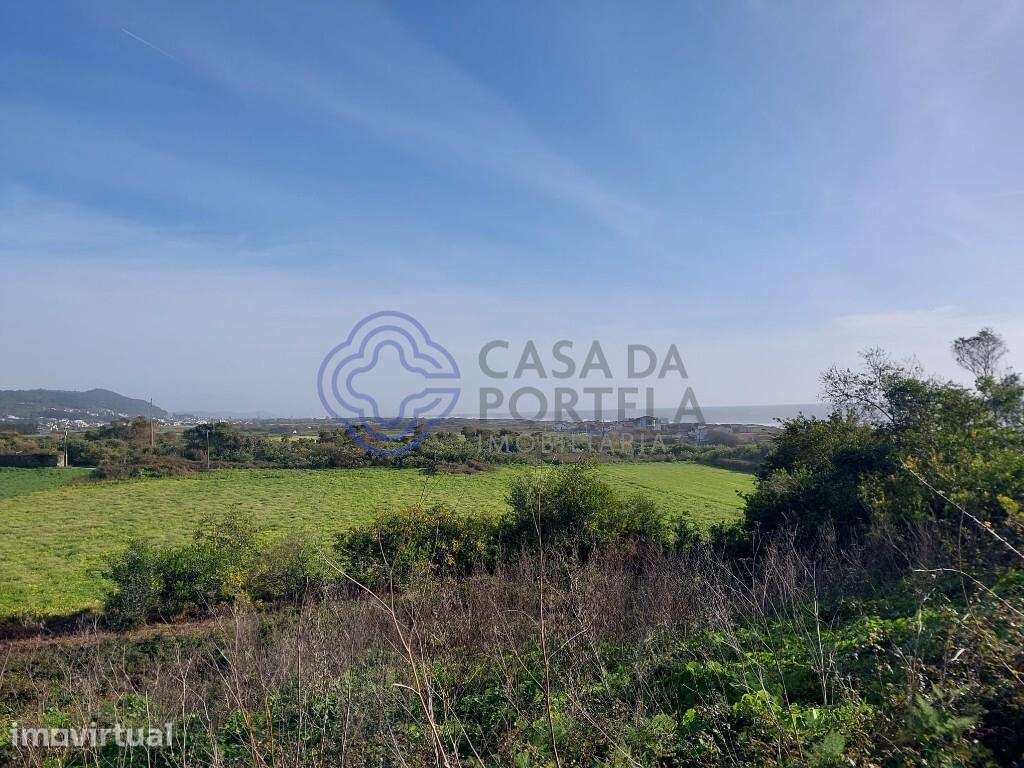 Terreno em Carreço-Montedor, 2 minutos da praia - Grande imagem: 4/12