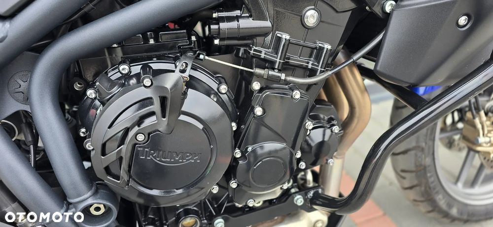 Triumph Tiger - 22