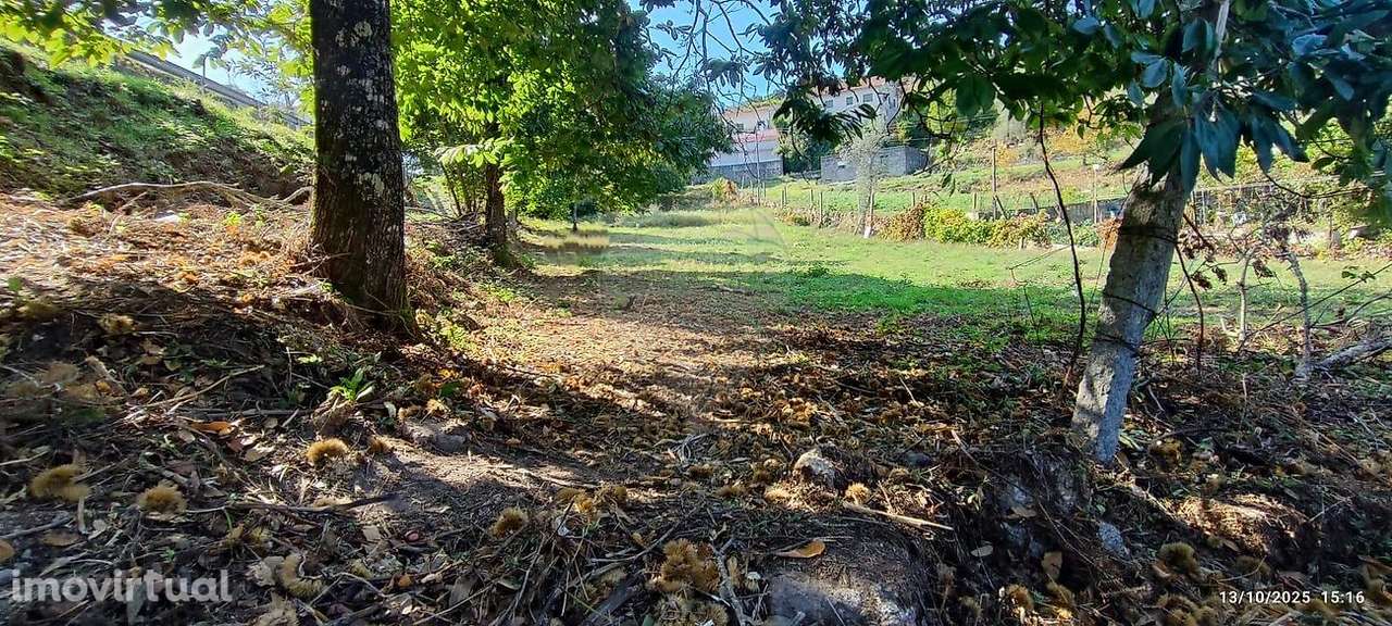 Terreno  para venda - Grande imagem: 5/15