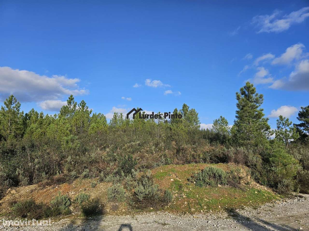 Pinhal com 8, 280 m2 - Grande imagem: 5/19