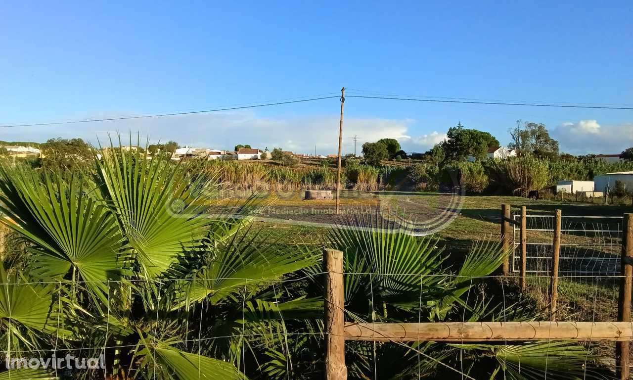 Terreno em Vale Mansos, Coruche (CRCH143) - Grande imagem: 3/4