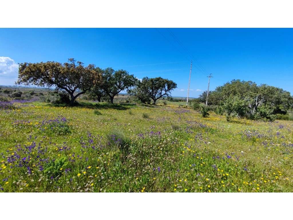 Terreno rústico perto de Póvoa de São Miguel - Grande imagem: 3/6