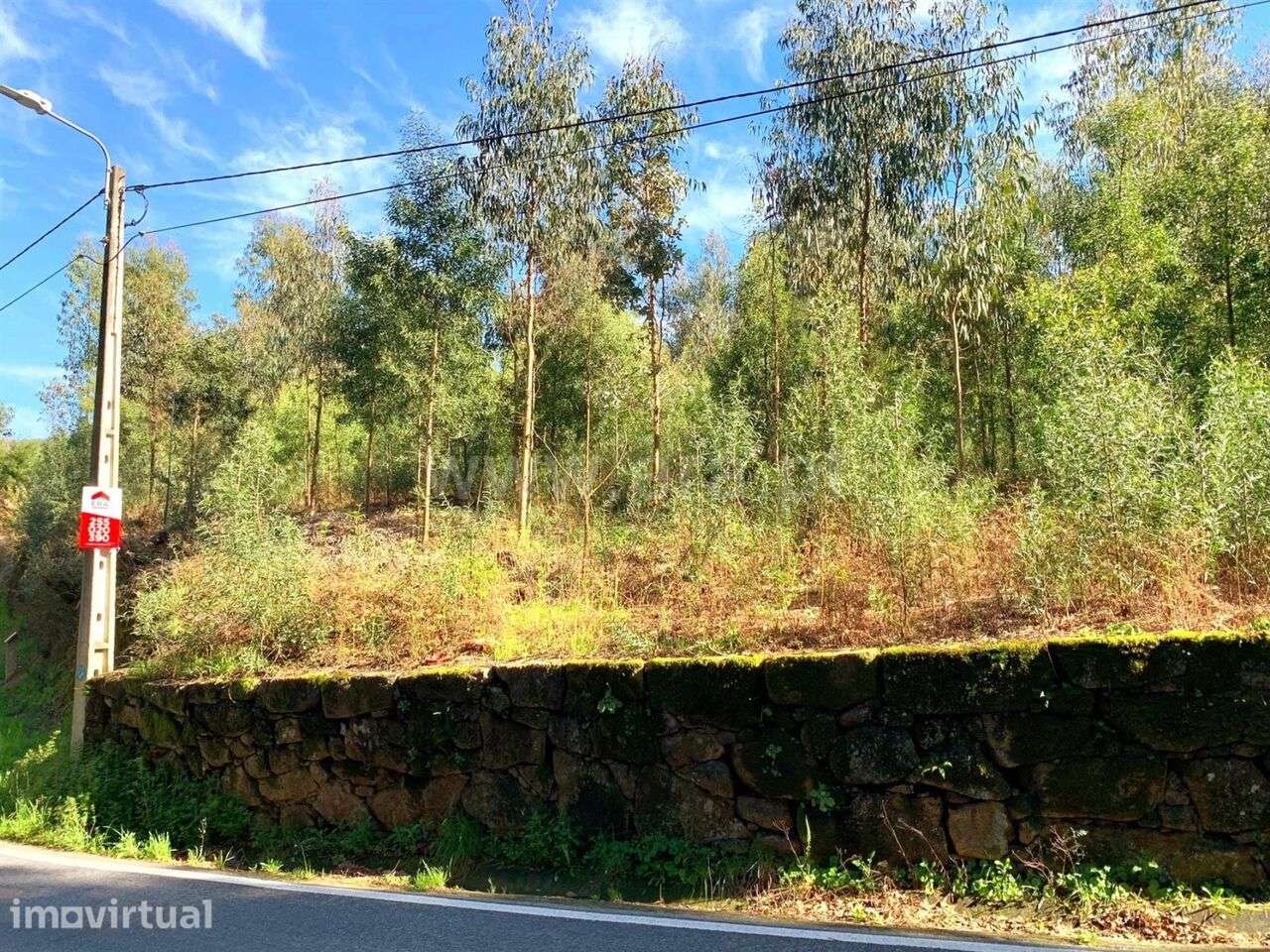 Terreno para Construção / Marco de Canaveses, Vila Boa do Bispo - Grande imagem: 3/5