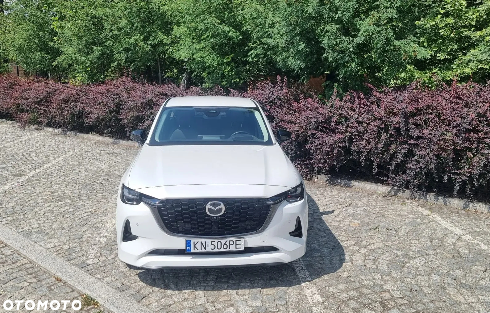 Mazda CX-60 2.5 PHEV Homura AWD - 10