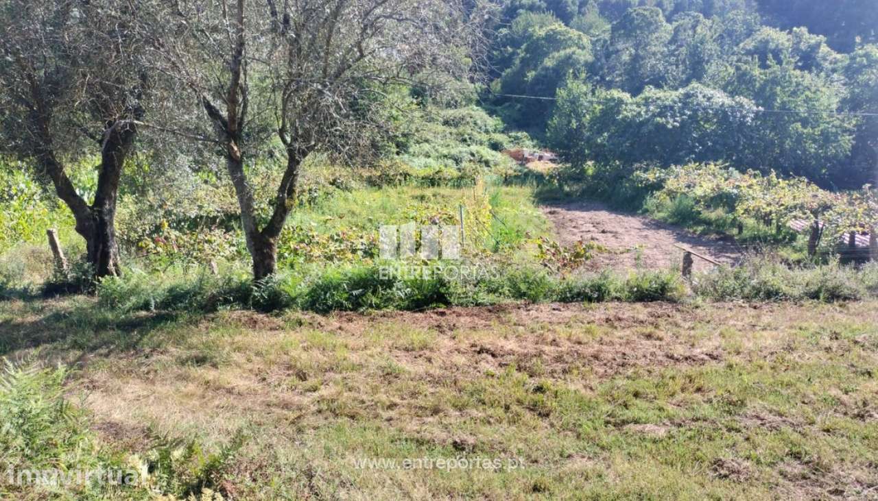 Terreno de construção, para venda, Gondarém, Vila Nova de Cerveira - Grande imagem: 4/7