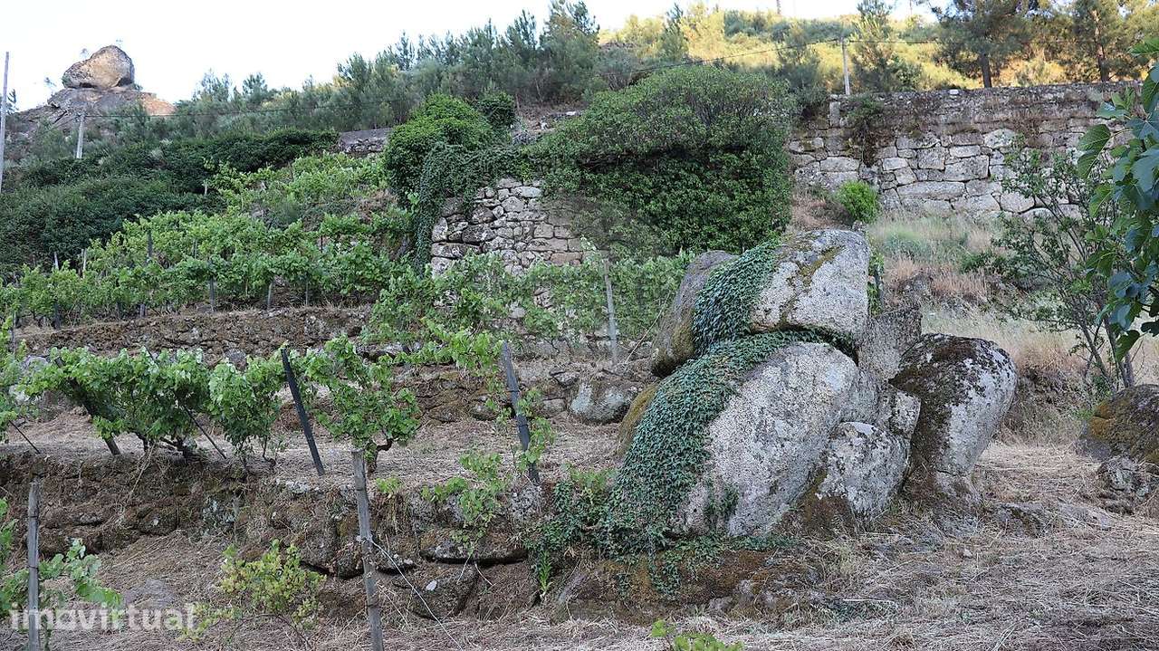 Terreno  para venda - Grande imagem: 5/8