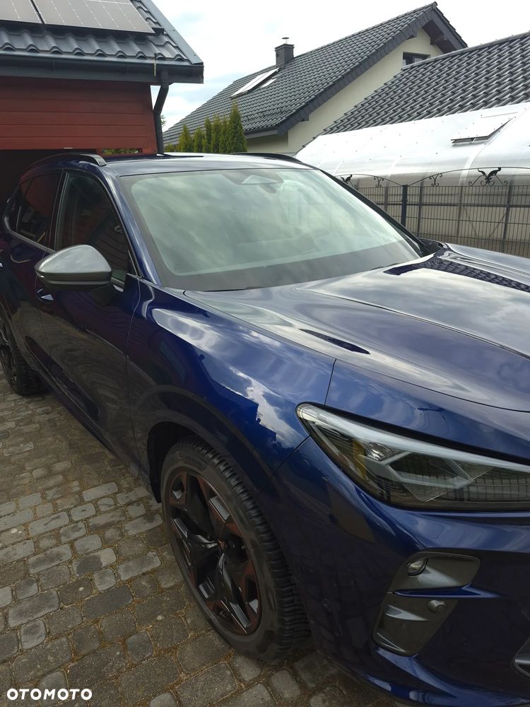 Cupra Terramar - 2