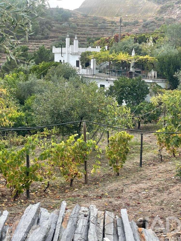 Quinta rural T3 em Carlão e Amieiro de 57566 m2 - Grande imagem: 5/37