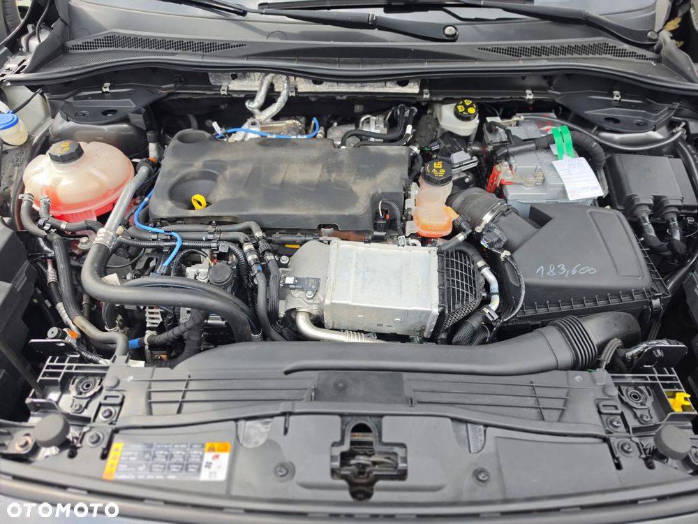 Ford Kuga 2.0 EcoBlue Hybrid COOL&CONNECT - 12
