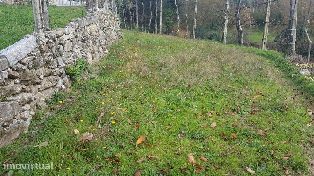 Terreno c/ Sequeira - Ribeira - Grande imagem: 2/16