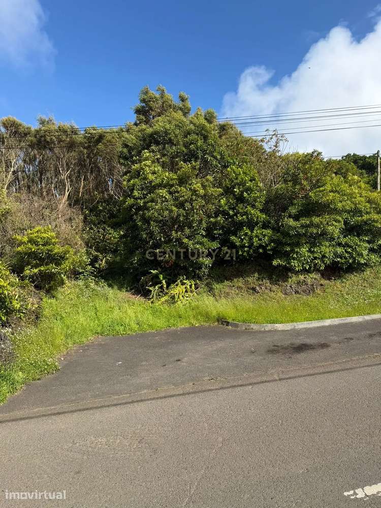 Oportunidade Única em Santa Cruz da Graciosa por 25.000€ - Grande imagem: 4/6