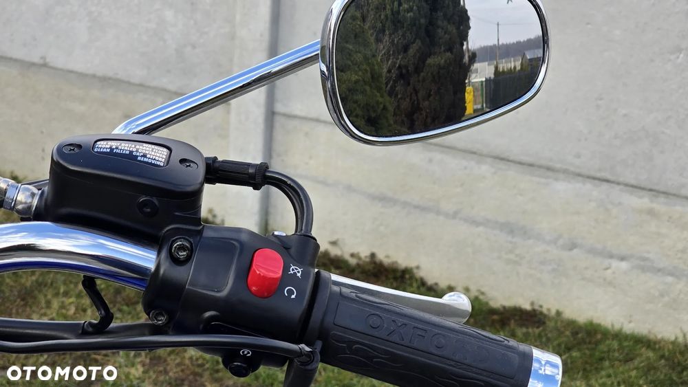 Triumph America - 23