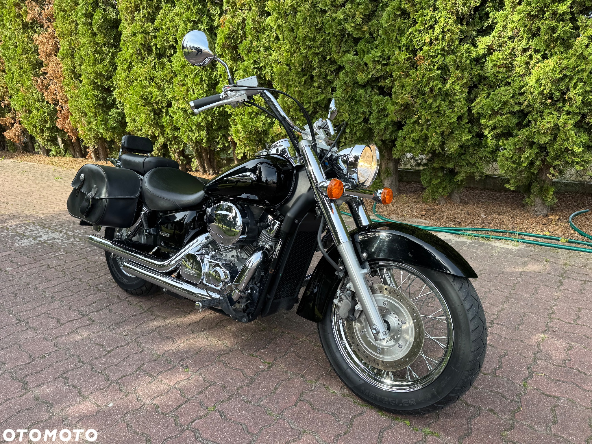 Honda Shadow - 3