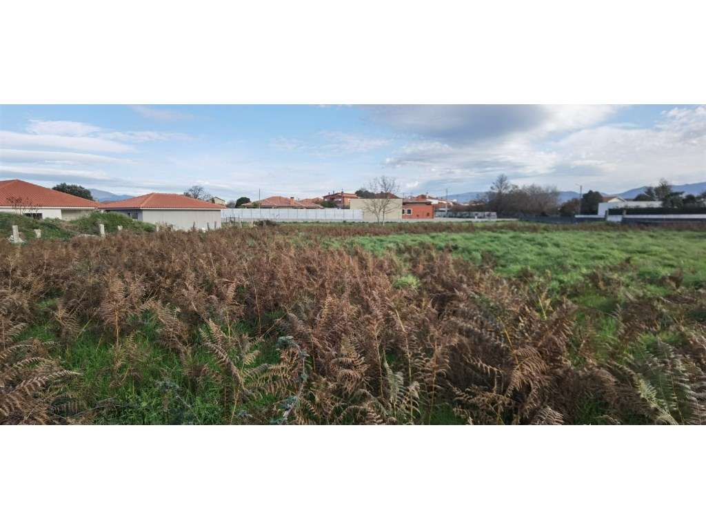 Terreno - Grande imagem: 4/6