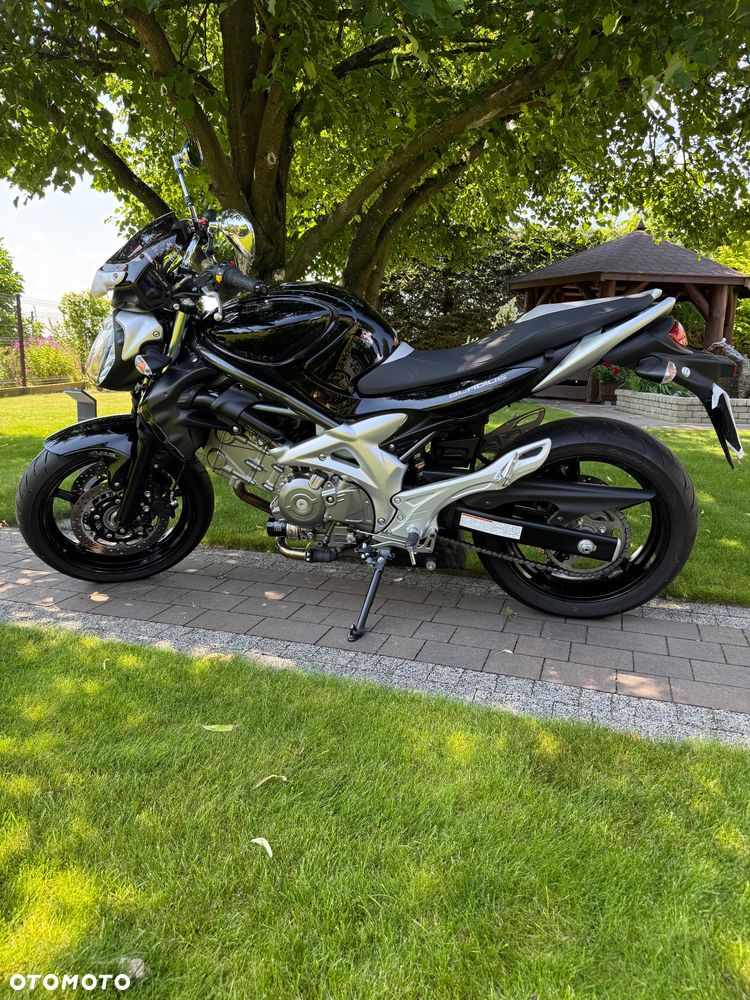 Suzuki Gladius - 1