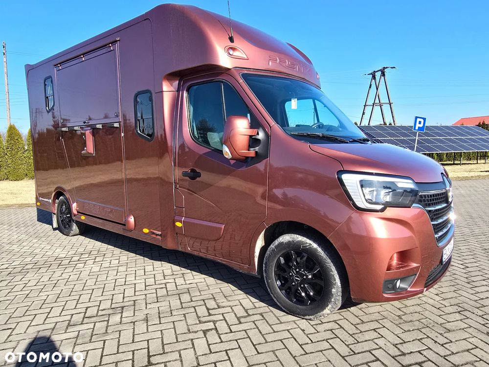 Renault Master Koniowóz - 3