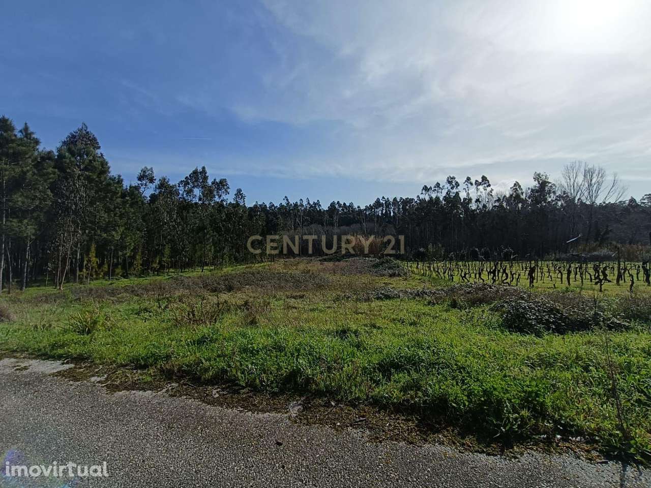 Terreno à Venda - 1900m² - Grande imagem: 3/5