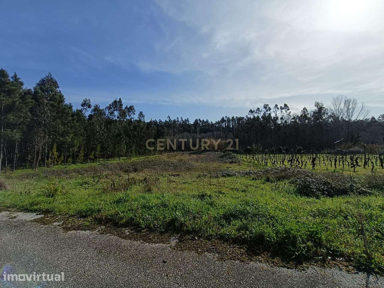 Terreno à Venda - 1900m² - Grande imagem: 3/5