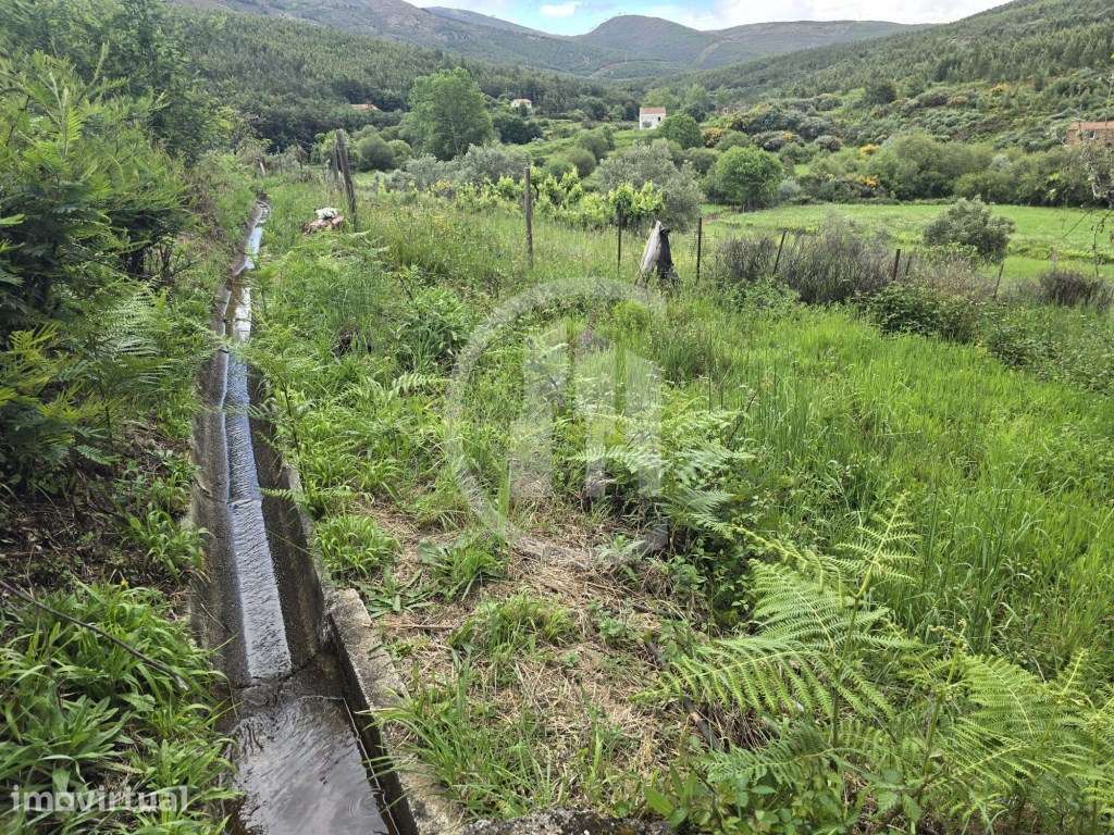 Terreno agrícola nas Cortes do Meio - Covilhã - Grande imagem: 3/4