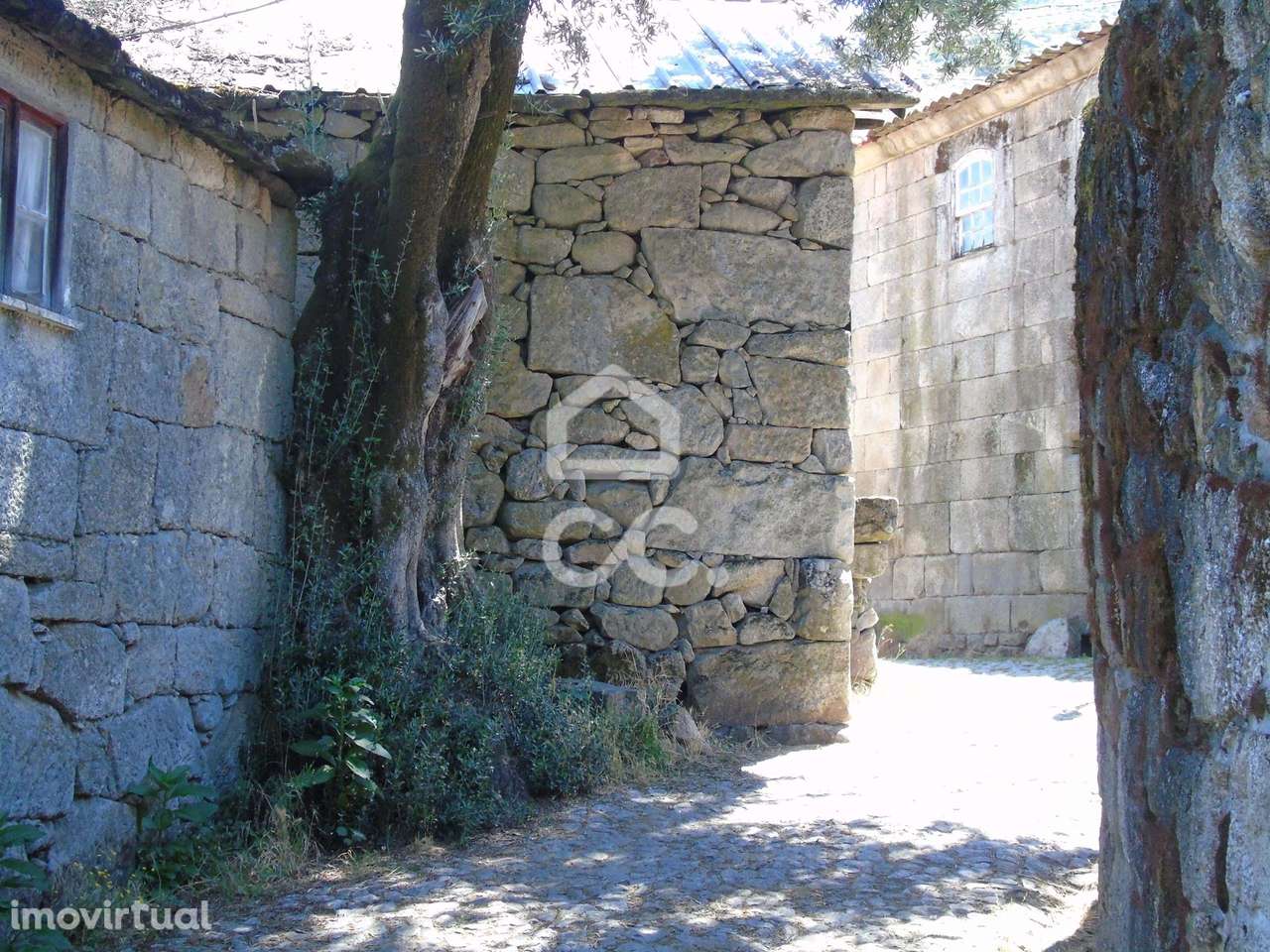 Propriedade em Limões - Ribeira de Pena - Grande imagem: 5/24