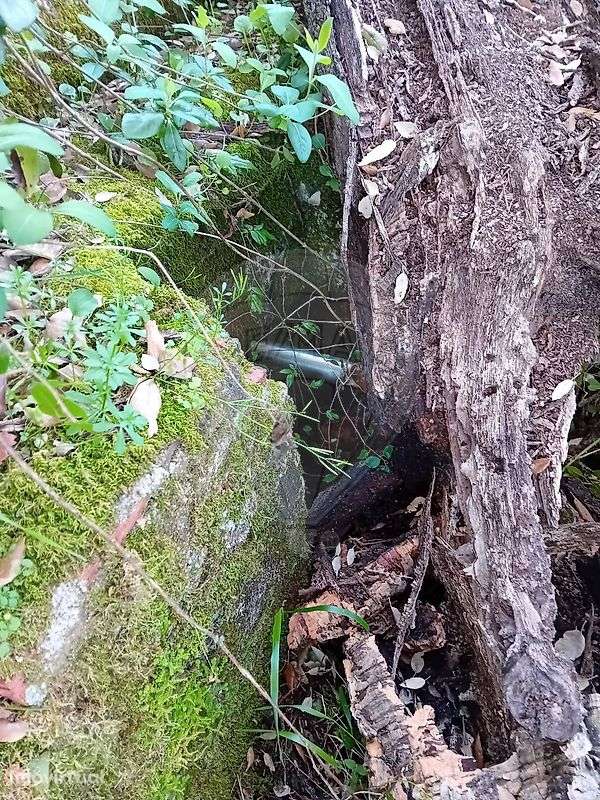 Terreno  para venda - Grande imagem: 3/7