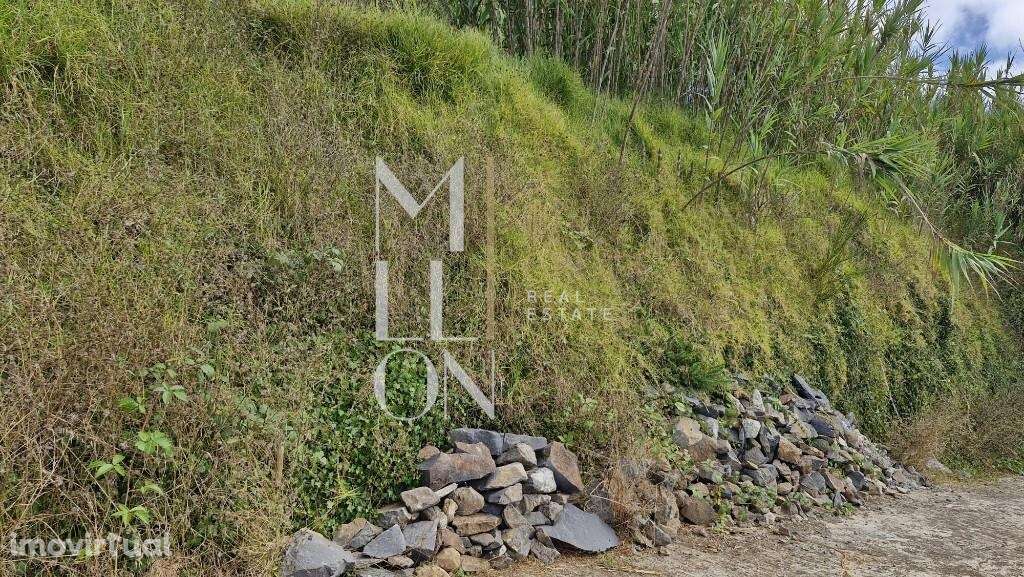 Terreno Fajã da Ovelha - Grande imagem: 3/6