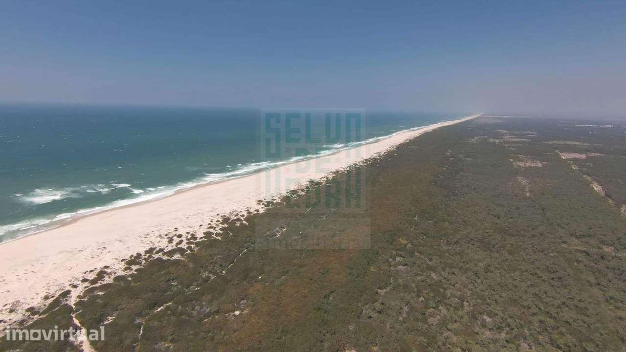 Terreno São Jacinto - Grande imagem: 5/6