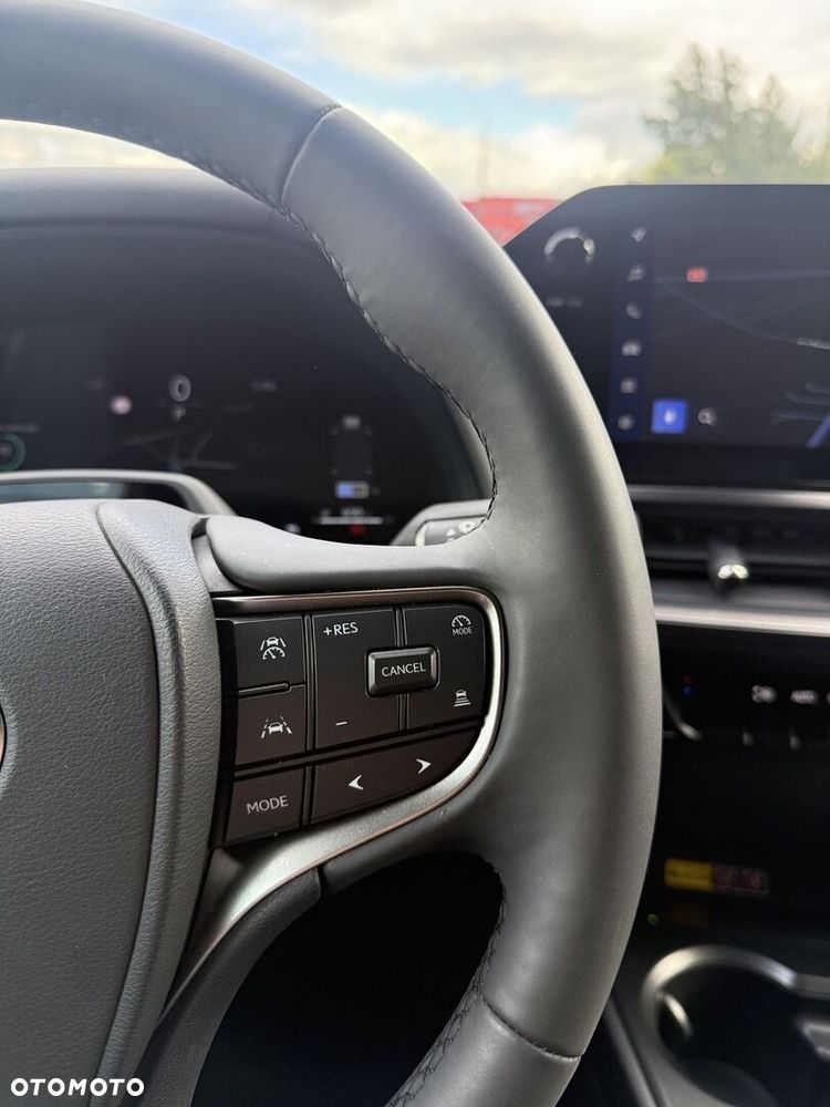Lexus UX 300h F Sport Design - 14