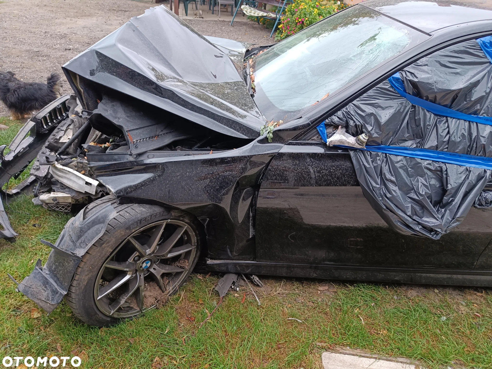 BMW Seria 3 - 32