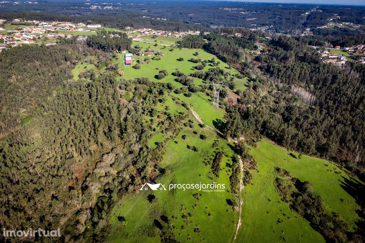 Magnifica Quinta em Zona Tranquila - Grande imagem: 4/40