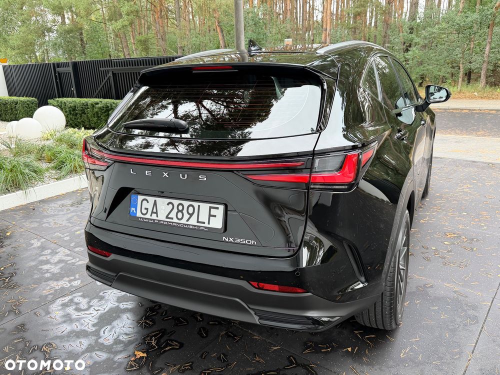 Lexus NX 350h Business AWD - 13