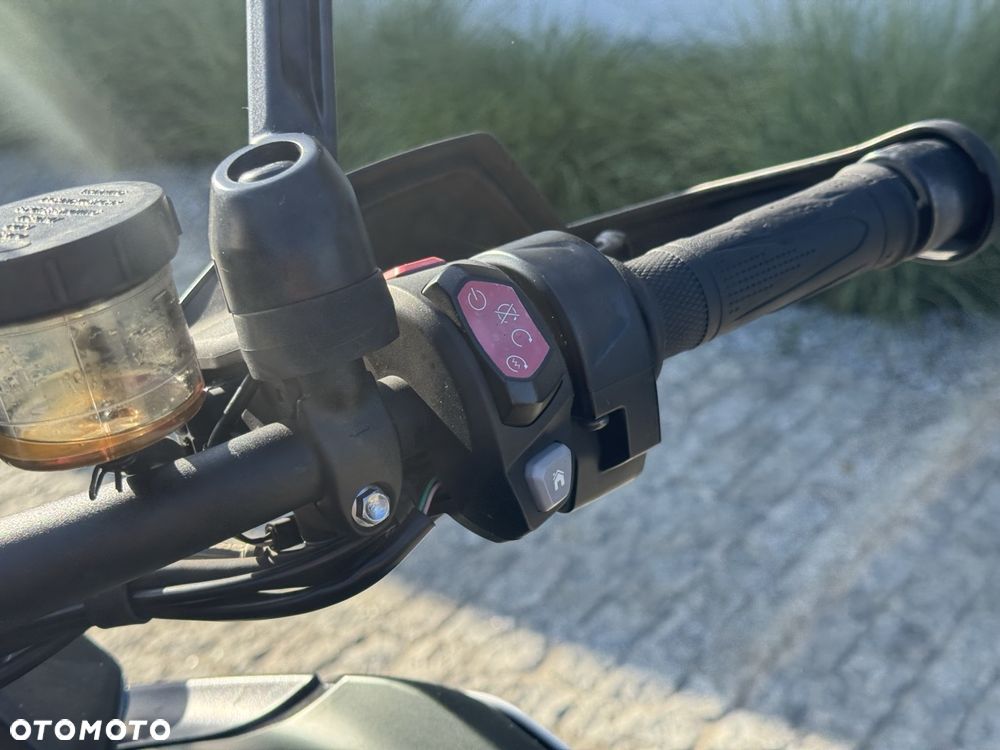 Triumph Tiger - 20