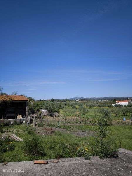 terreno rústico com parcela urbana - Grande imagem: 4/11
