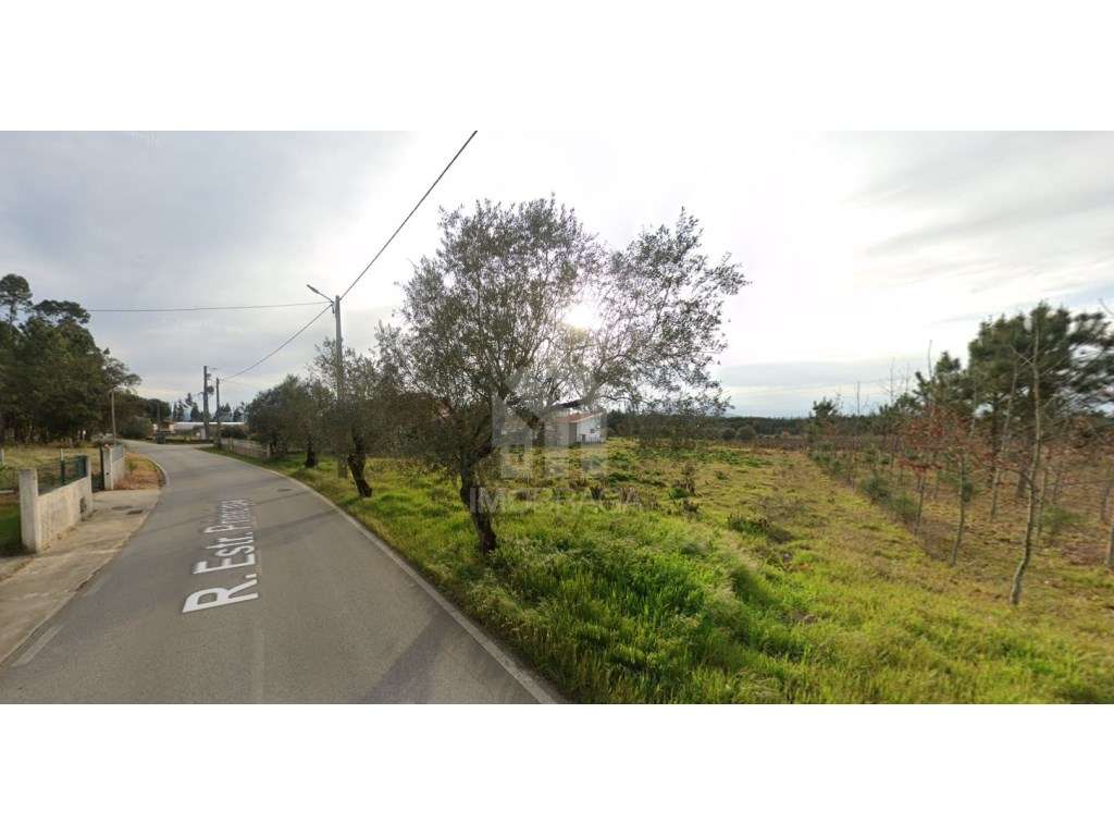 Terreno urbano à venda em São Lourenço do Barro, concelho de Anadia... - Grande imagem: 4/13